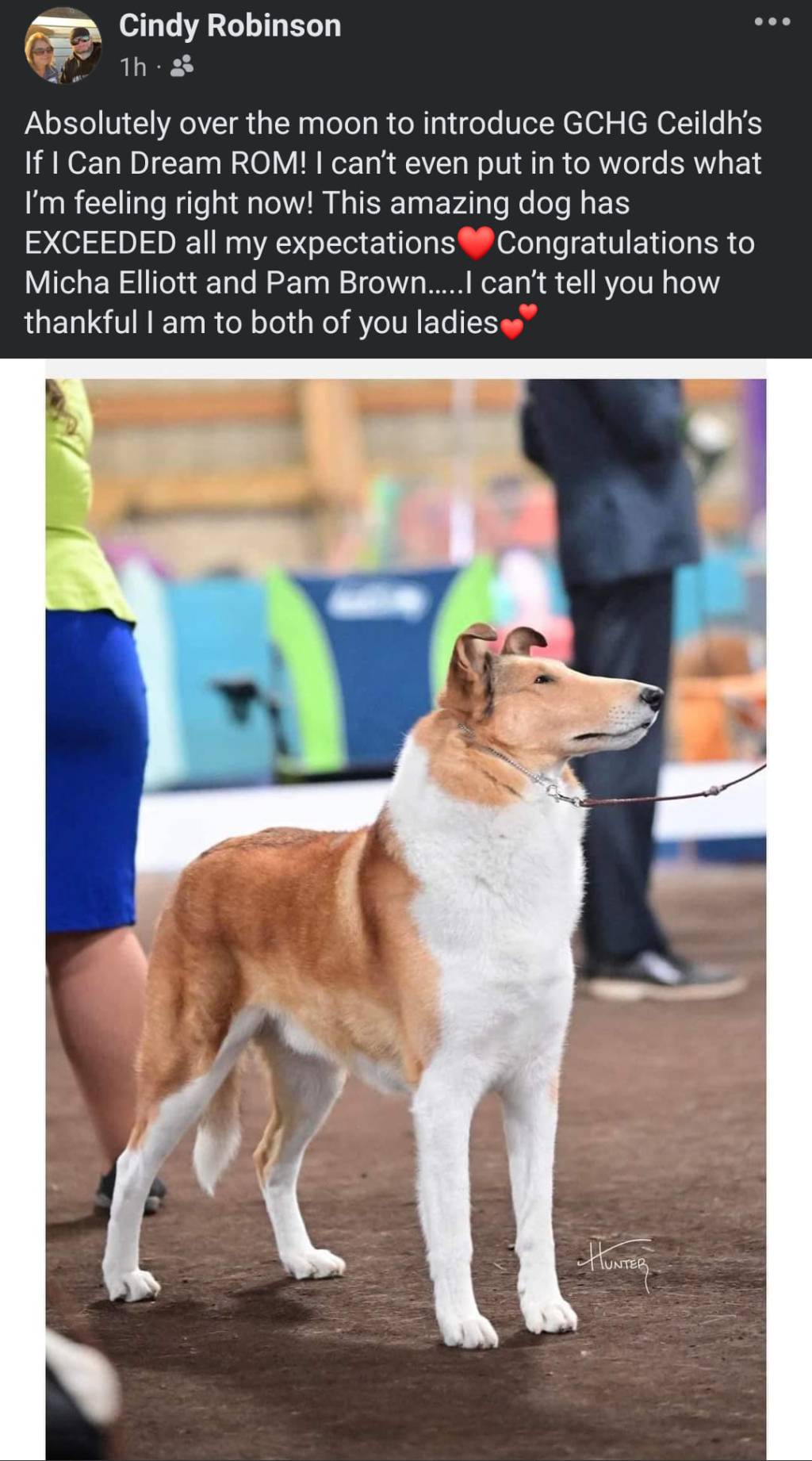 Ceilidh Collies is THRILLED to announce our kennel’s 4th ROM&nbsp;title