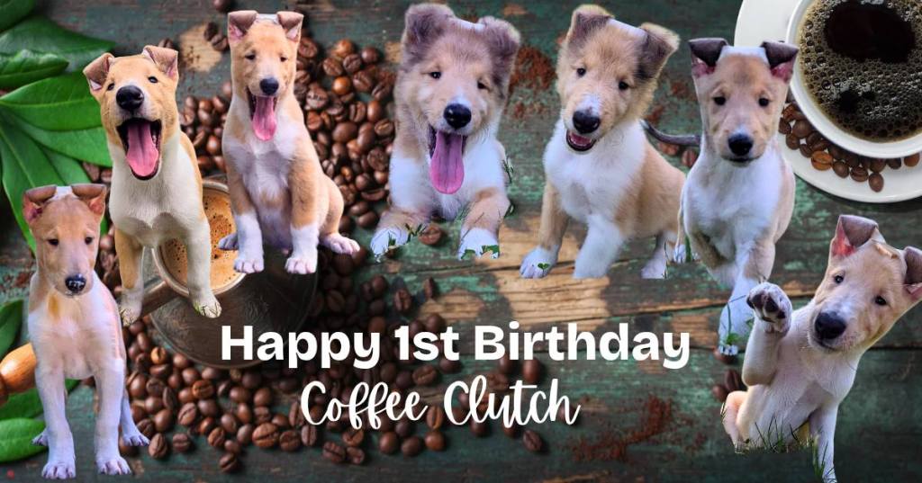 Happy 1st Birthday to our Coffee Clutch babies, born&nbsp;5/6/24!🥳☕