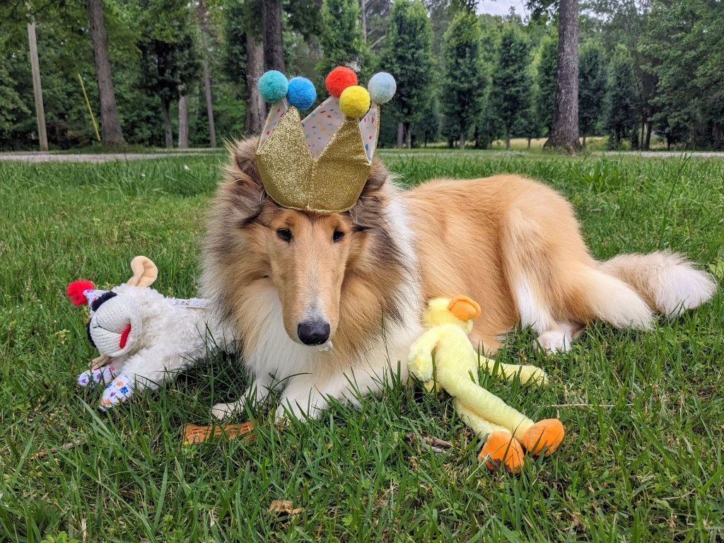 A late post for our beloved singleton, Bibi’s 1st birthday!&nbsp;(05/15/2024)