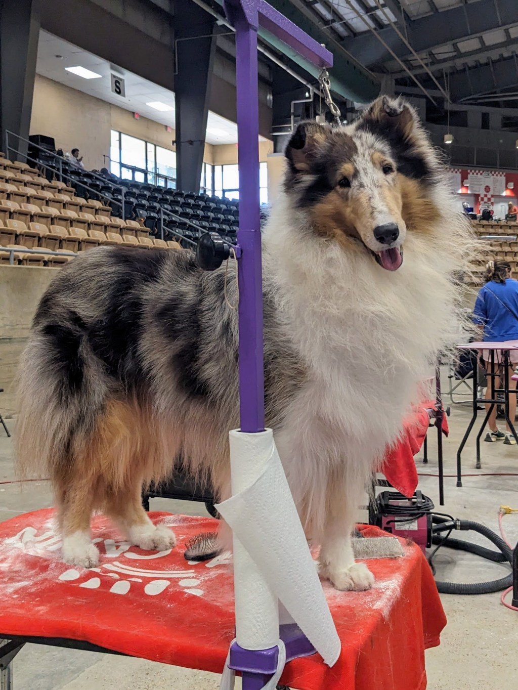 Dog Days of Summer Cluster&nbsp;Recap