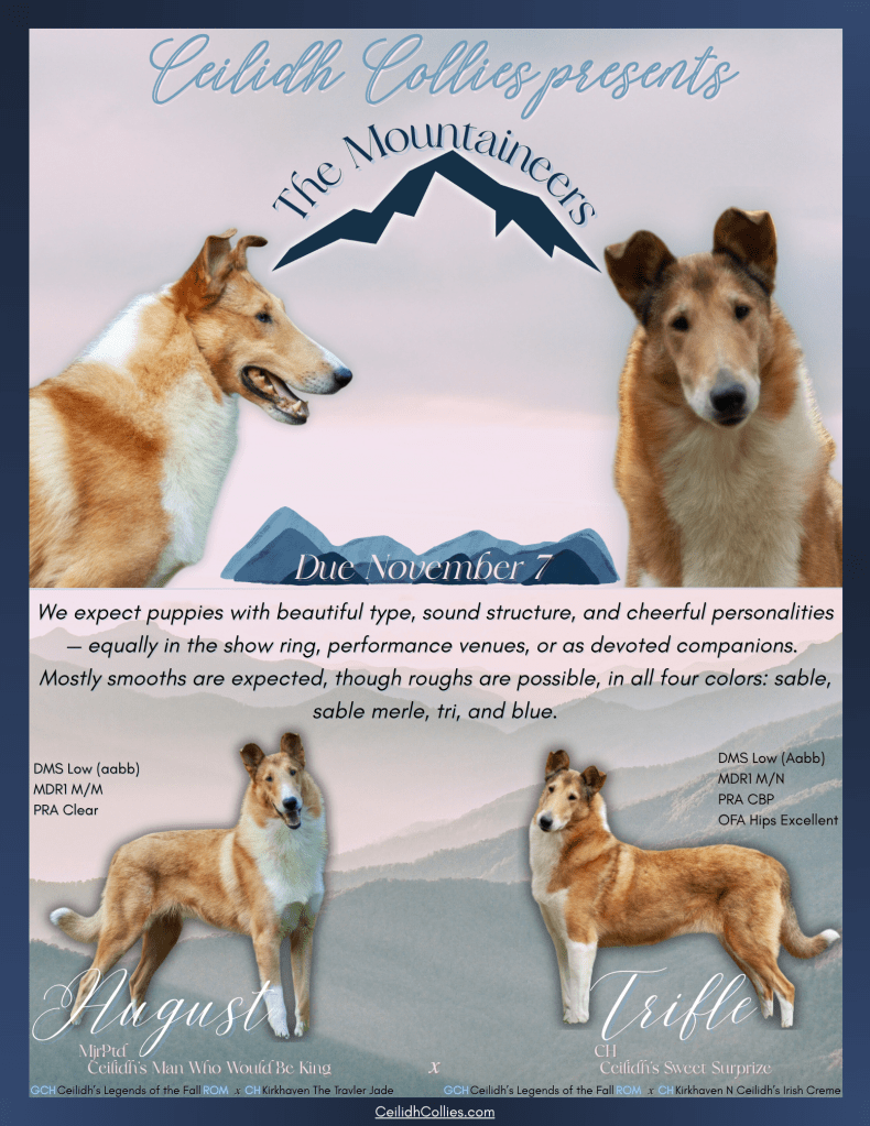 The Mountaineers are Coming&nbsp;Soon