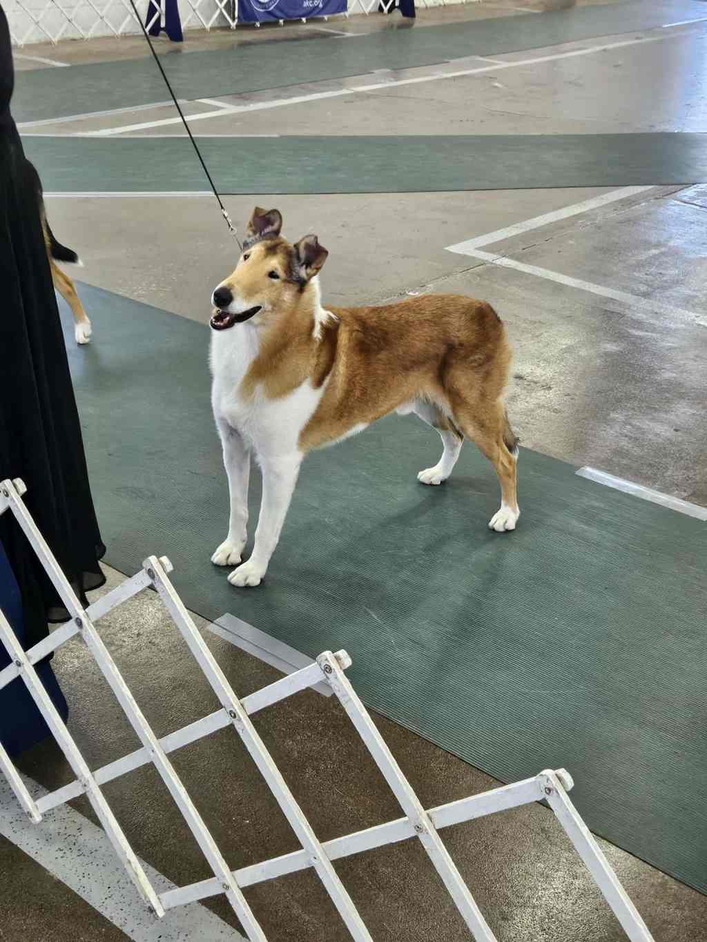 Cullain Keeps the Fun (and Wins) Coming in&nbsp;Cleveland