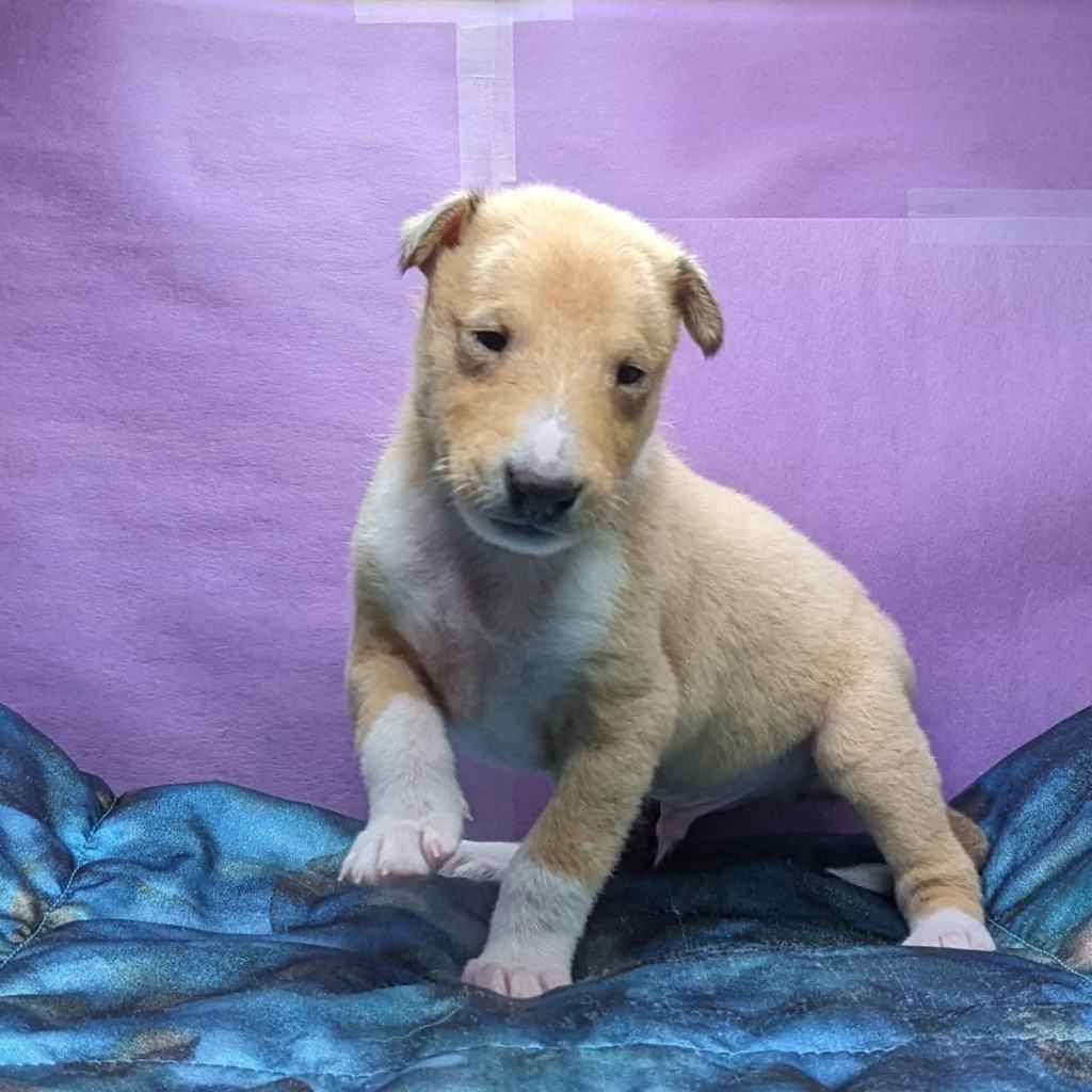 ⛰️The Mountaineers⛰️ are officially 4 weeks&nbsp;old!